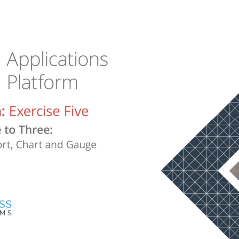 Applications Platform Foundation: Exercise Five