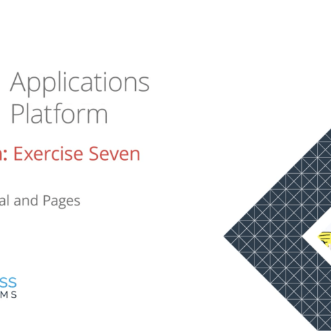 Applications Platform Foundation: Exercise Seven