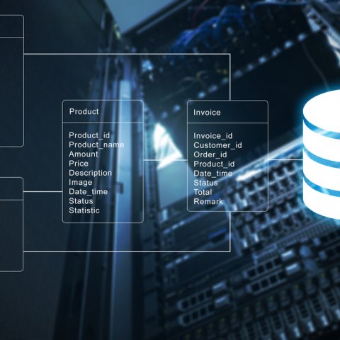 Codeless Platforms Releases SAP Business One Database Query (HANA) Tool